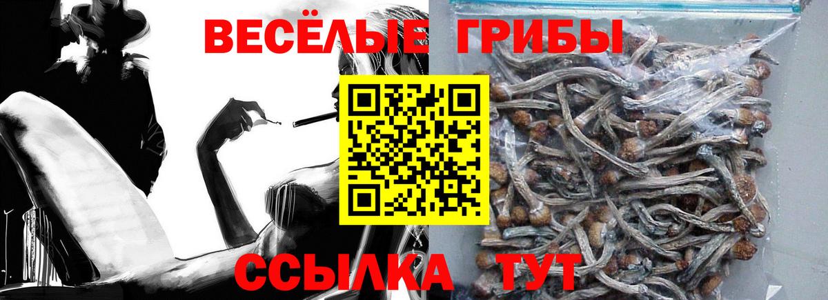 Галлюциногенные грибы Cubensis Нефтекамск